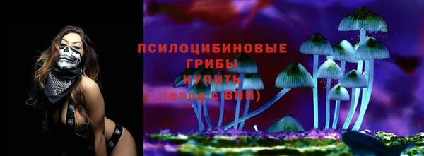 амфетамин Алексеевка